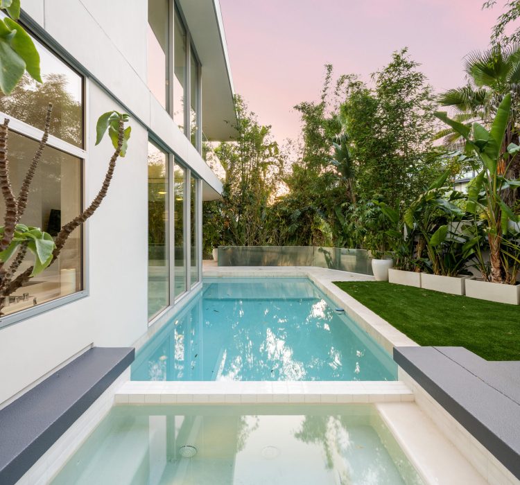 A Backyard pool with surrounding greenery and a tree